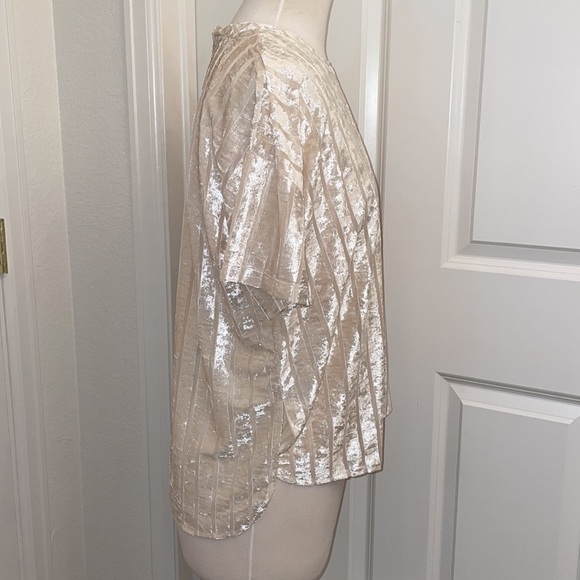 EXPRESS velvet striped sheer short sleeve shirt w/ high-low slit in size medium - Picture 5 of 9